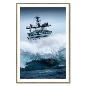 Tableau M.Rivrin Abeille Bourbon Tempête Ciaran 82x122cm