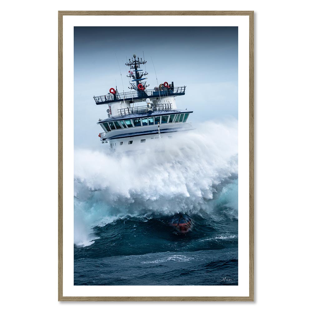 Tableau M.Rivrin Abeille Bourbon Tempête Ciaran 82x122cm