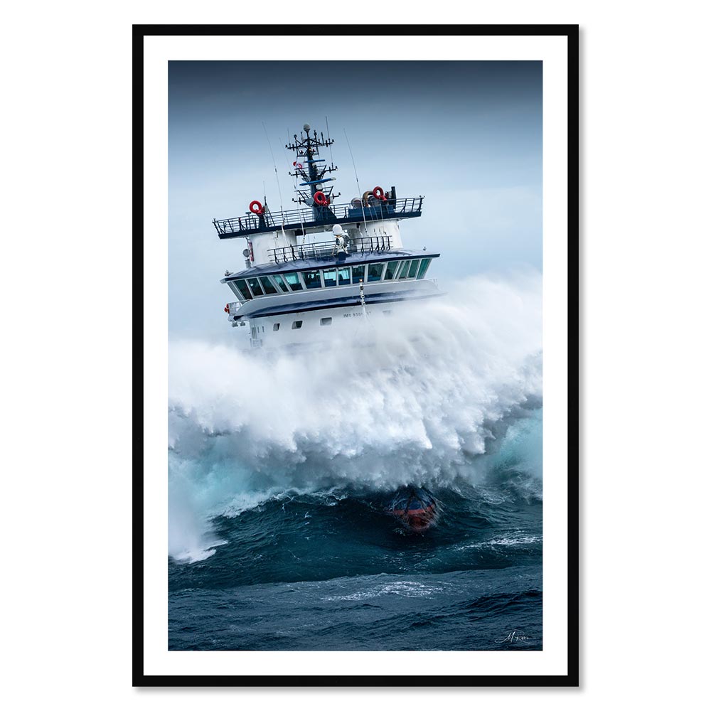 Tableau M.Rivrin Abeille Bourbon Tempête Ciaran 82x122cm – Image 2